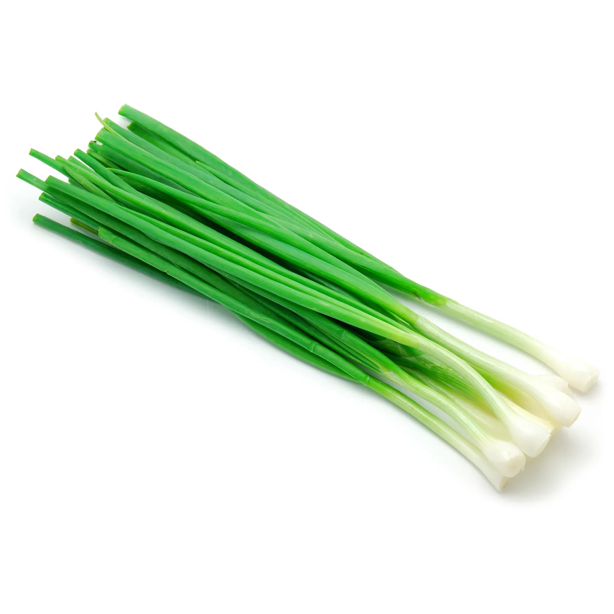 Fresh Cilantro, 1 Bunch – 5 oz
