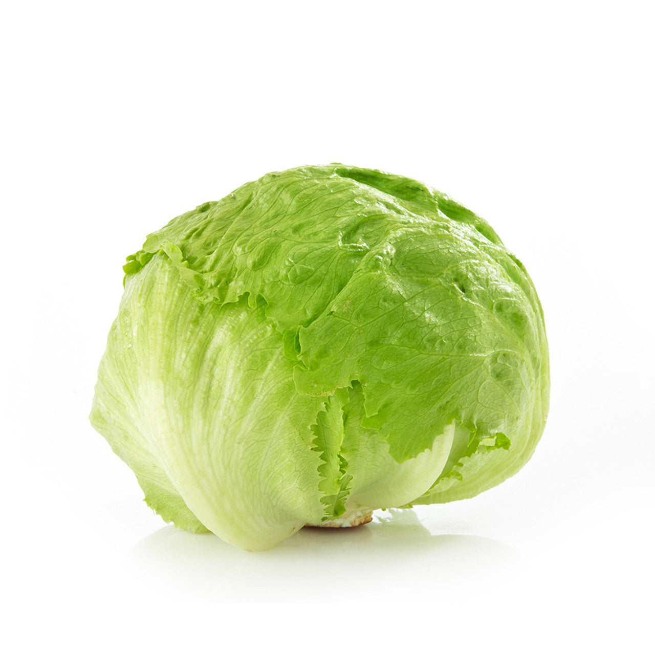 Fresh Iceberg Lettuce 10 oz